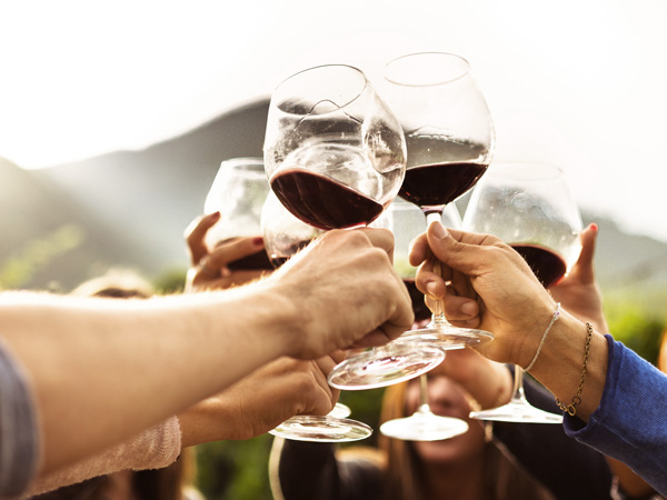 Friends clinking wine glasses together at a tasting