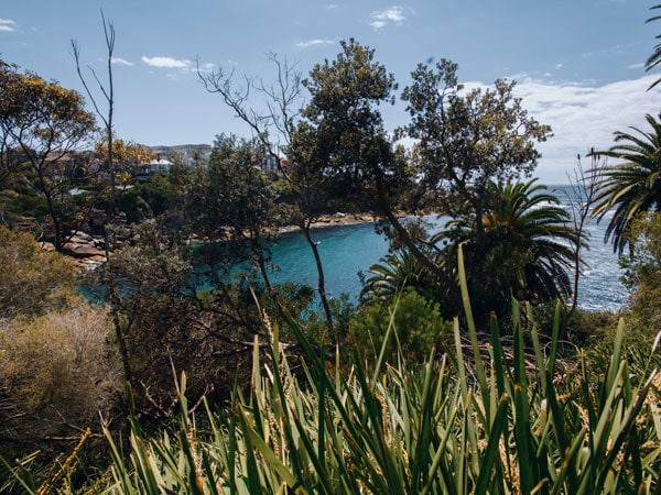 the Gordons Bay in Sydney's eastern suburbs