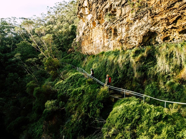 Grand Cliff Top Walk, Blue Mountains, NSW