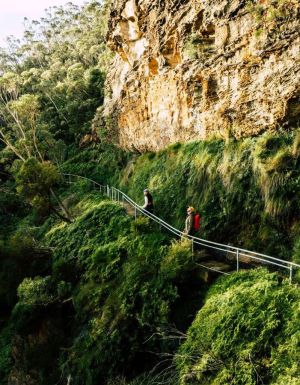 A new Blue Mountains walk has opened and it’s a nature-lover’s dream
