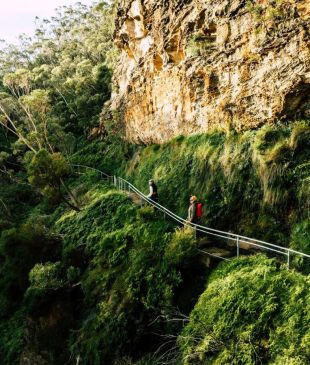 <p><i>A new</i> <strong>Blue Mountains</strong> <i>walk</i> has opened and it’s a nature-lover’s dream</p>
