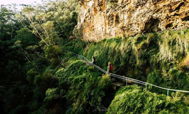 A new Blue Mountains walk has opened and it’s a nature-lover’s dream