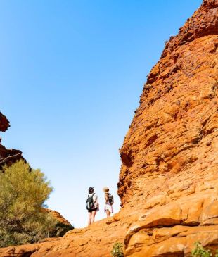 <p><i>7 incredible</i> <strong>Alice Springs</strong> to <strong>Uluru</strong> tours you’ll want to try</p>
