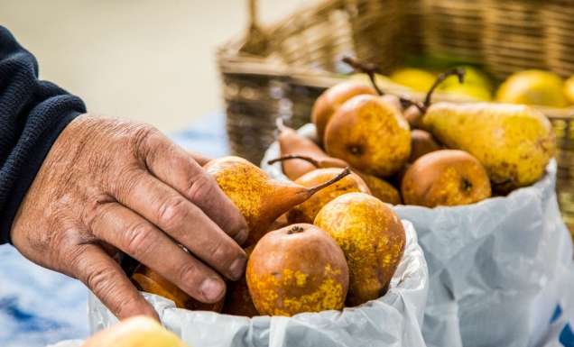 fresh pears available for purchase at the Orange Farmers Market.