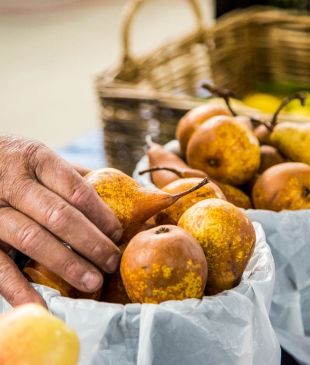 <p><i>This is the top</i> <strong>Orange</strong> market guide for local produce and more</p>
