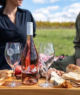 <p><i>Sit back and relax</i> on these <i>8 unforgettable</i> <strong>Orange</strong> wine tours</p>
