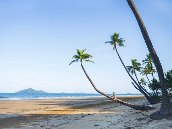 a person sitting on a bent palm tree at Mission Beach