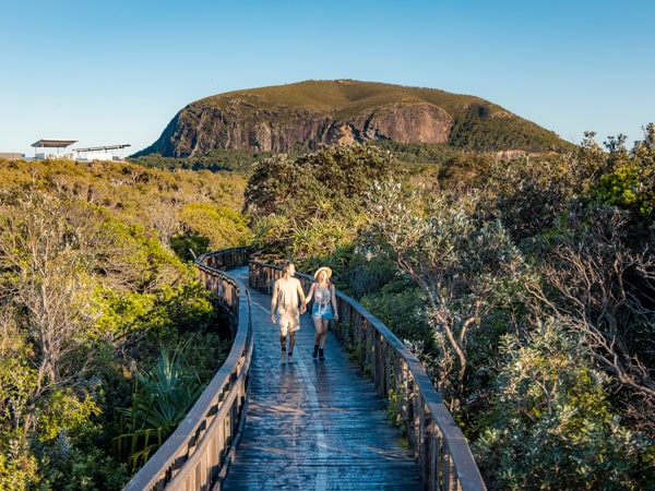 two people walking along the Mt Coolum boardwalk