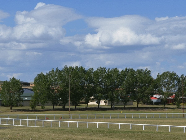 RV sites available at the Orange Showground