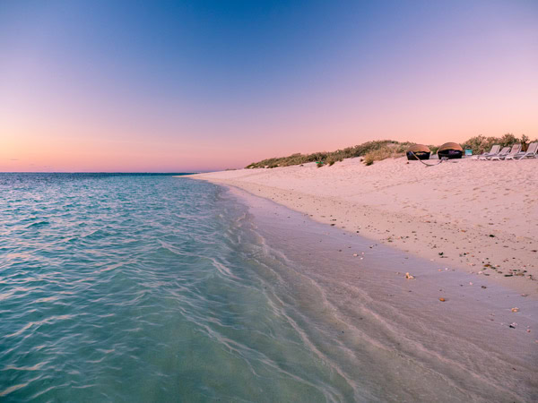 The beach is 50 metres from the tents at Sal Salis