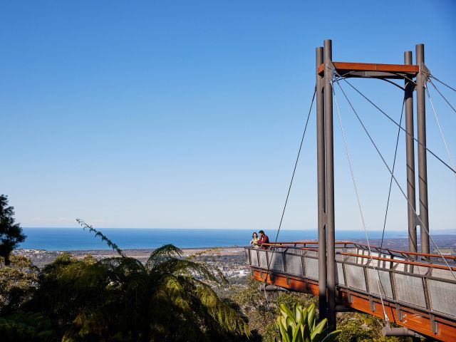 sealy lookout in sawtell