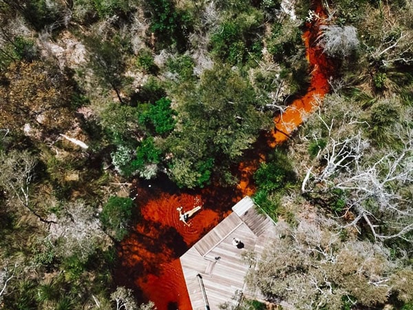 the tea-coloured Seary’s Creek