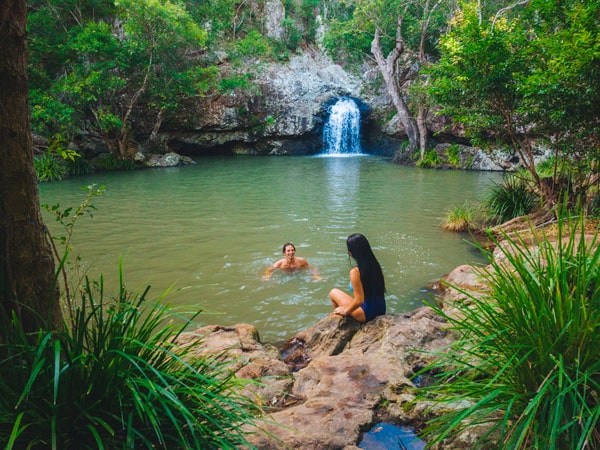 swimming in Kondalilla Falls