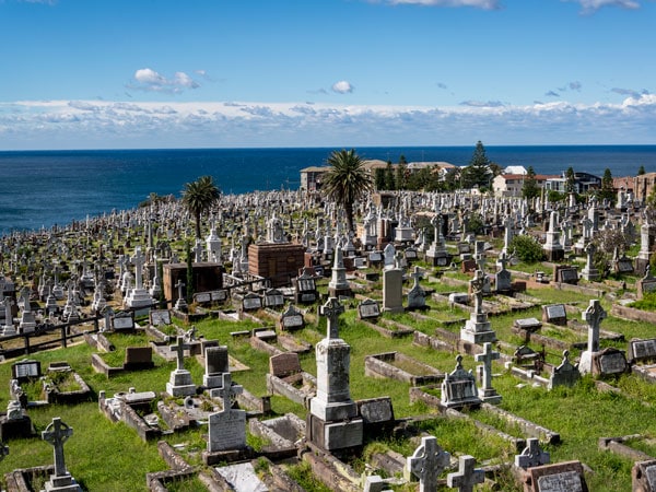 View from Waverley Cemetery along the Bondi to Coogee Coastal Walk