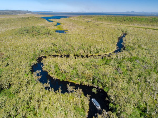 an aerial view of the lush landscape at Noosa Everglades