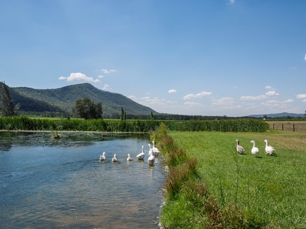 Krinklewood Biodynamic Winery in Broke, NSW