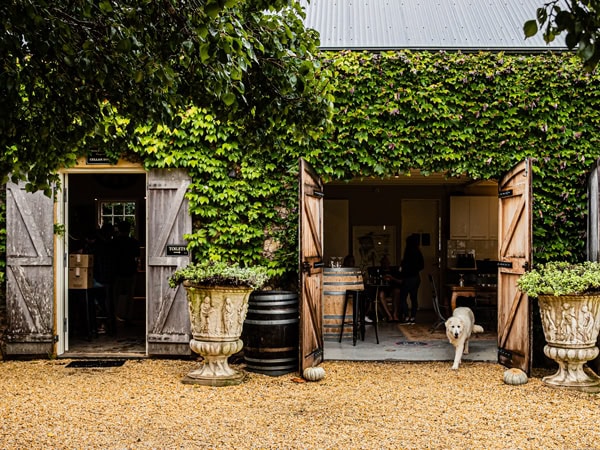 Krinklewood Biodynamic Winery in Broke, NSW