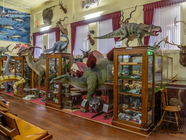 animal displays inside The Academy of Taxidermy, WA