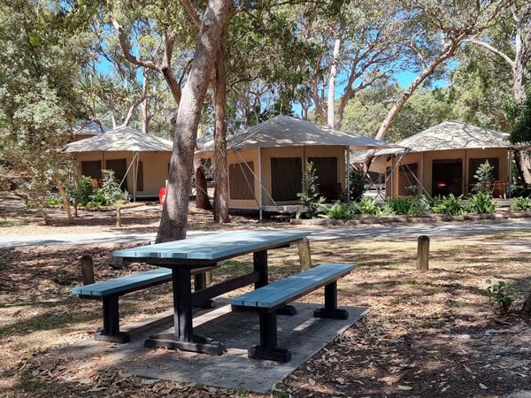 the camping ground with tents at Adder Rock