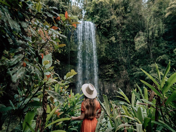 The Millaa Millaa Falls in the Atherton Tablelands, Queensland