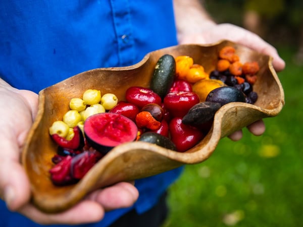 Tropical fruits in Far North Queensland