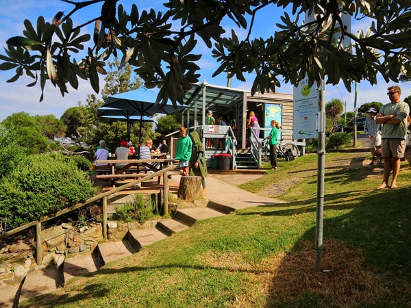 the al fresco dining at Bar Beach Kiosk, Merimbula