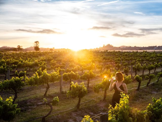 Burnbrae Wines vineyard. mudgee