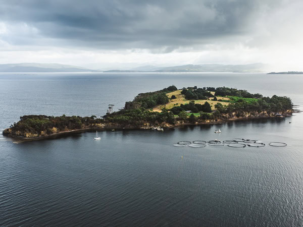 an aerial view of Satellite Island