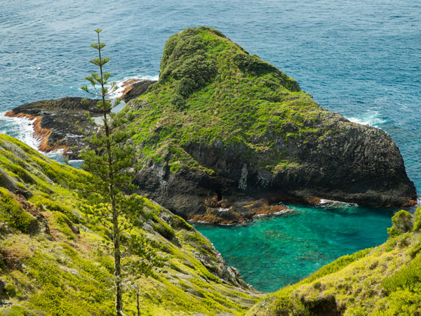 Water and greenery on Norfolk Island