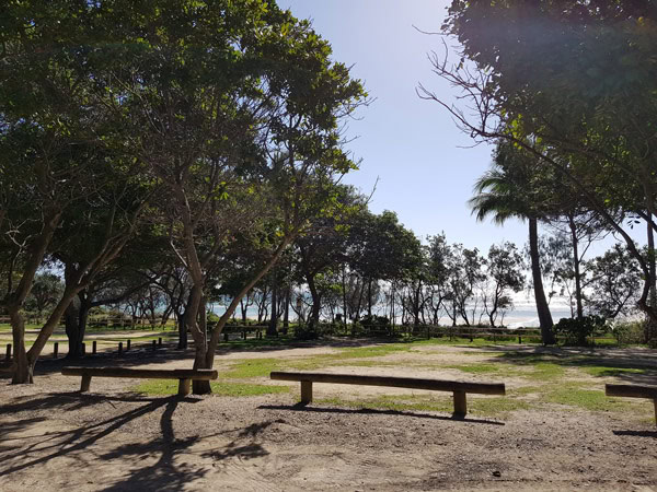 the camping grounds of Cylinder Beach at Minjerribah Camping