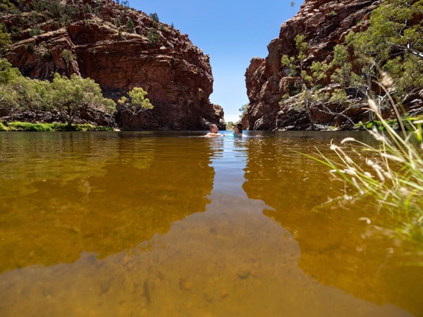 swimming in the waterhole at Ellery Creek