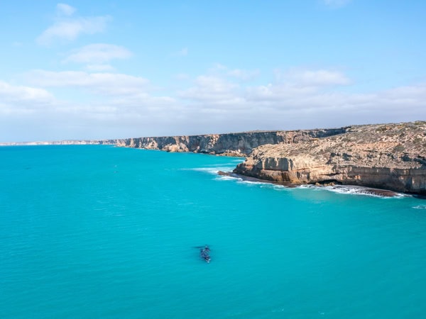 Eyre Peninsula Head of Bight whale watching
