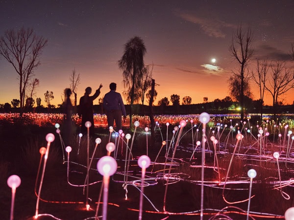the Sunrise Field of Light Tour at Uluru, NT