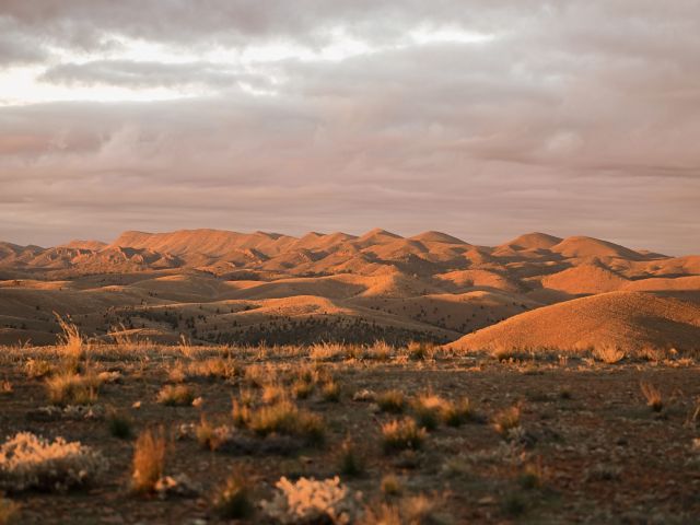 Wadna, Flinders Ranges
