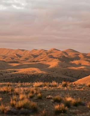 Wadna, Flinders Ranges