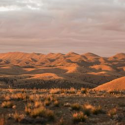 Wadna, Flinders Ranges