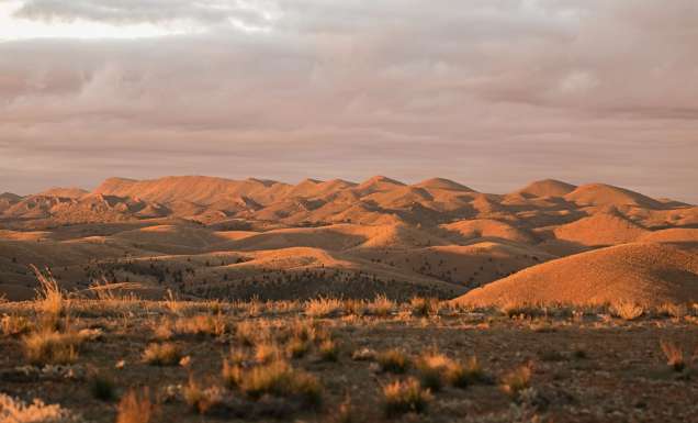Wadna, Flinders Ranges