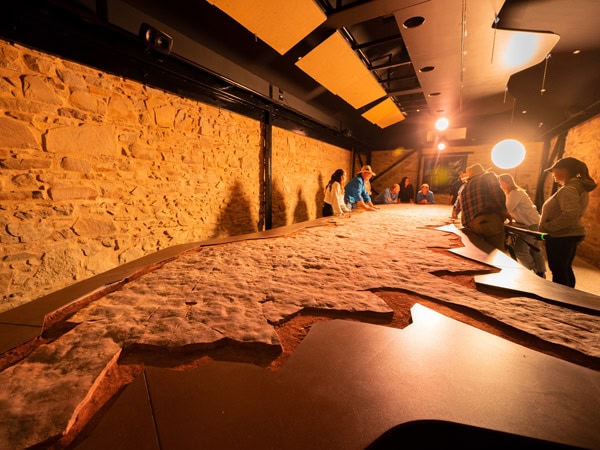 a fossil tour inside Nilpena Ediacara National Park