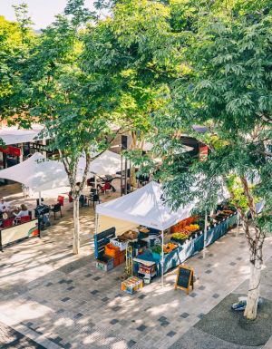 an aerial view of Coffs Coast Growers Markets