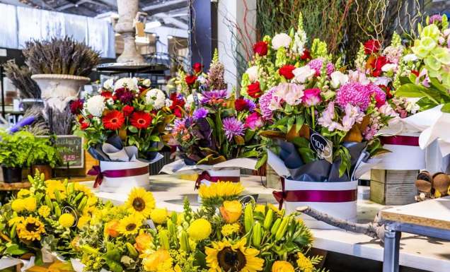Fresh flowers at Brisbane Flower Market