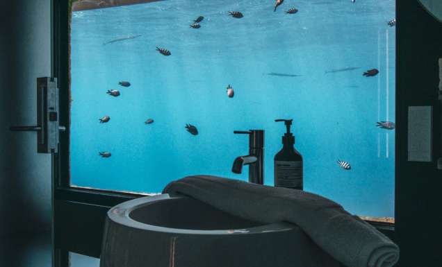 Reefsuites bathroom underwater