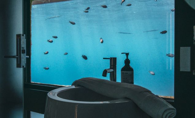 Reefsuites bathroom underwater