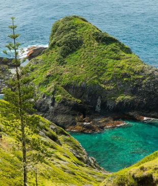 <p><i>Exploring</i> <strong>Norfolk Island’s</strong> charms one conversation at a time</p>
