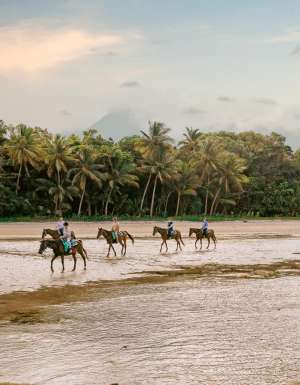 Cape Trib Horse Rides