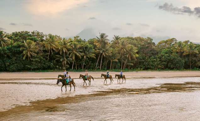 Cape Trib Horse Rides