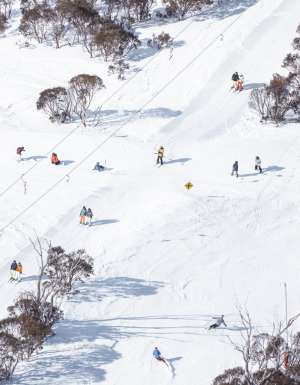 Aerial view of skiers at Thredbo