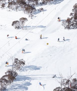 <p><i>Snow days</i> in <strong>Thredbo</strong></p>
