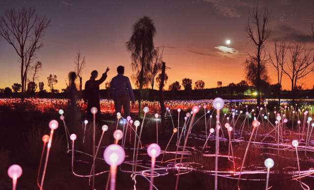 the Sunrise Field of Light Tour at Uluru, NT