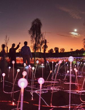 the Sunrise Field of Light Tour at Uluru, NT