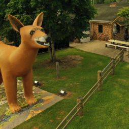 Golden Dog Hotel in Orara Valley Coffs Coast
